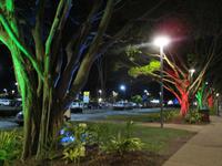 Cairns