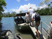 Tag im Daintree Nationalpark