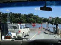 Tag im Daintree Nationalpark