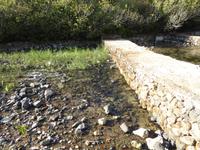 Jordan Quelle Banyas