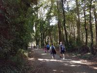 Wanderreise Nord-Spanien – Jakobsweg und Atlantik 9 Tage Wanderreise in Nordspanien mit San Sebastian – Picos de Europa – Jakobsweg – Santiago de Compostela – Port (1882)