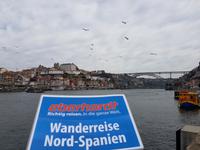 Wanderreise Nord-Spanien – Jakobsweg und Atlantik 9 Tage Wanderreise in Nordspanien mit San Sebastian – Picos de Europa – Jakobsweg – Santiago de Compostela – Port (2601)
