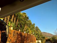 Herbstfärbung im Sonnenschein.