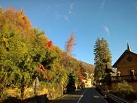 Leuchtendes Farbenspiel.