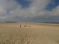 Sanddünen auf Fuerteventura