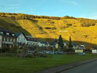 Moselweinberge im Abendlicht