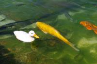 Bauernhofidylle in Namibia