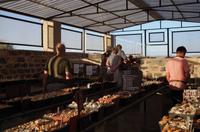 Alte Kalköfen Lodge - Lebende Steine