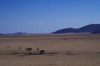 Garub Wasserstelle bei Aus