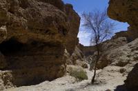 Wanderung im Sesriem Canyon