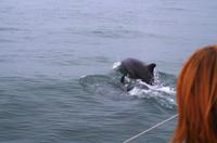 Bootsfahrt in der Lagune von Walvis Bay