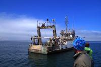 Schiffswrack in der Lagune 