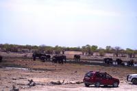 Etosha Nationalpark - am Wasserloch