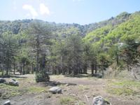 IMG 9109 argentinische Pampa