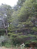 IMG 9514 Wulaia-Bucht