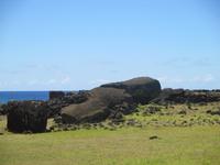 IMG 9785
