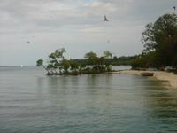 Havelock Island