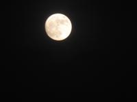 Rückflug bei Vollmond