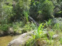 Wanderung im Isalo-Park