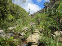 Wanderung im Isalo-Park