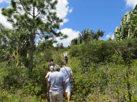 Mauritius: Wanderung im Black River NP