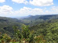 Mauritius: Wanderung im Black River NP