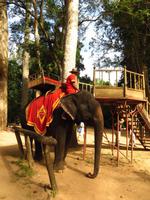Elefantenritt um Angkor Thom