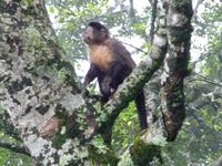 20 Rio Corcovado (12)