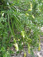 41 Bootsausflug Paraty (21)