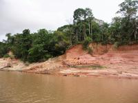 90 Auf dem Amazonas (28)