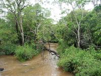 120 Iguazu Argentinien (42)