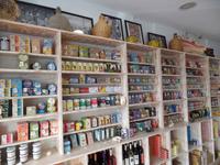 Singlereise Portugal _ Fischkonservenladen in Portimao