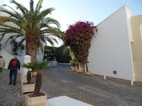 Singlereise Portugal _ Hotel Tivoli Lagos