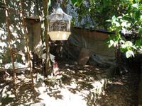 Singlereise Portugal _ Serra de Monchique 