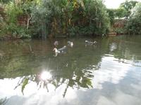 Singlereise Portugal _ Bergdorf Alte