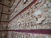 Singlereise Portugal _ Knochenkapelle in Faro