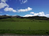 Christchurch - Punakaiki