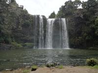 Coromandel - Paihia - Whangarei Falls
