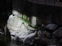 Aguas Calientes (11)