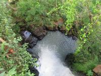 Iguazu (Argentinien) (30)