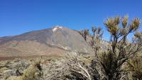Blick zum Teide