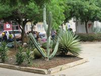 Am Hauptplatz der Inselhauptstadt Praia