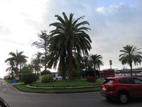 Santa Cruz de La Palma