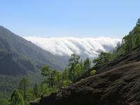Passatwolken an der Cumbre unweit der Caldera de Taburiente