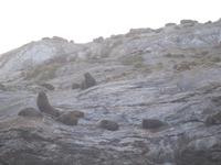 Schifffahrt auf dem Doubtful Sound