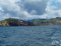 Dunedin - Schifffahrt mit der Monarch