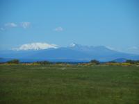 Blick aud den Tongariro Nationalpark