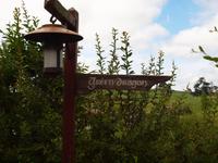 Filmset Hobbiton