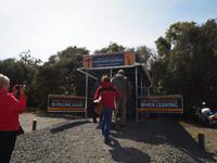 Paihia - Auckland - Kauriwald