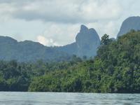 Zum Floßhotel auf dem Cheow Larn See